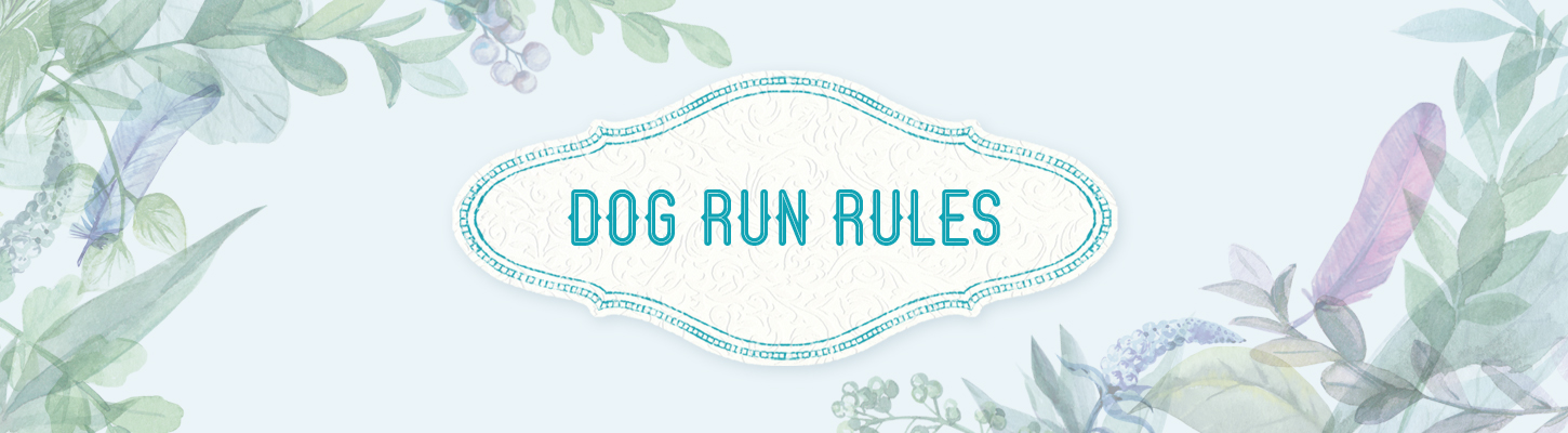 Dog Run Rules